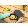 image:imageBrabantia Make amp Take Medium Lunch Box Jade Green BPAFree Airtight Snap Locks Microwave amp Freezer Safe Travel Meal Prep Container 37ozDark Gray