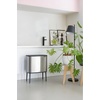 image:imageBrabantia Bo Touch Bin 34 Liters Soft Beige PlasticMatt Steel FPP